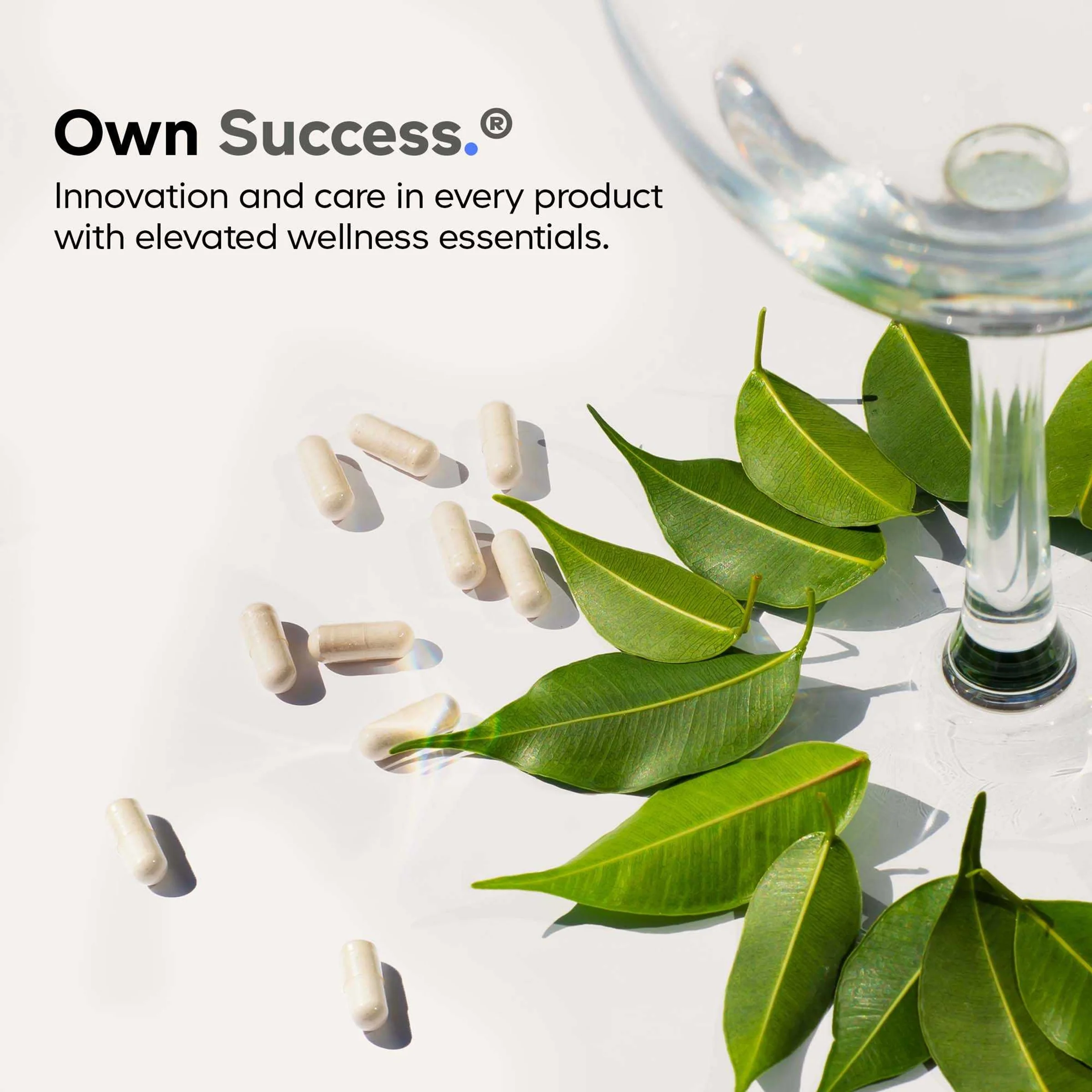 Liposomal Green Tea+ Ultra - Image 8