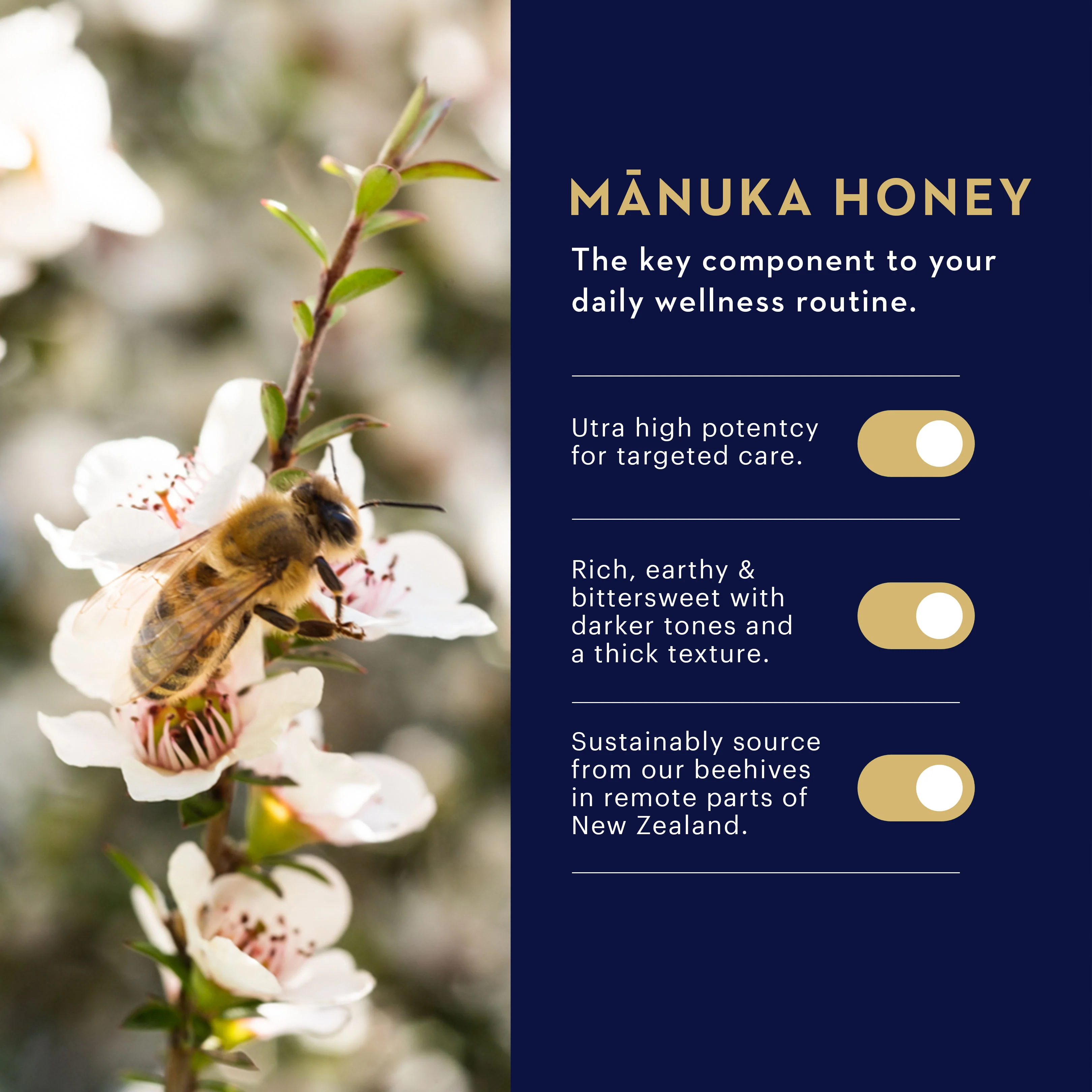 Manuka Honey Lozenges - Image 15