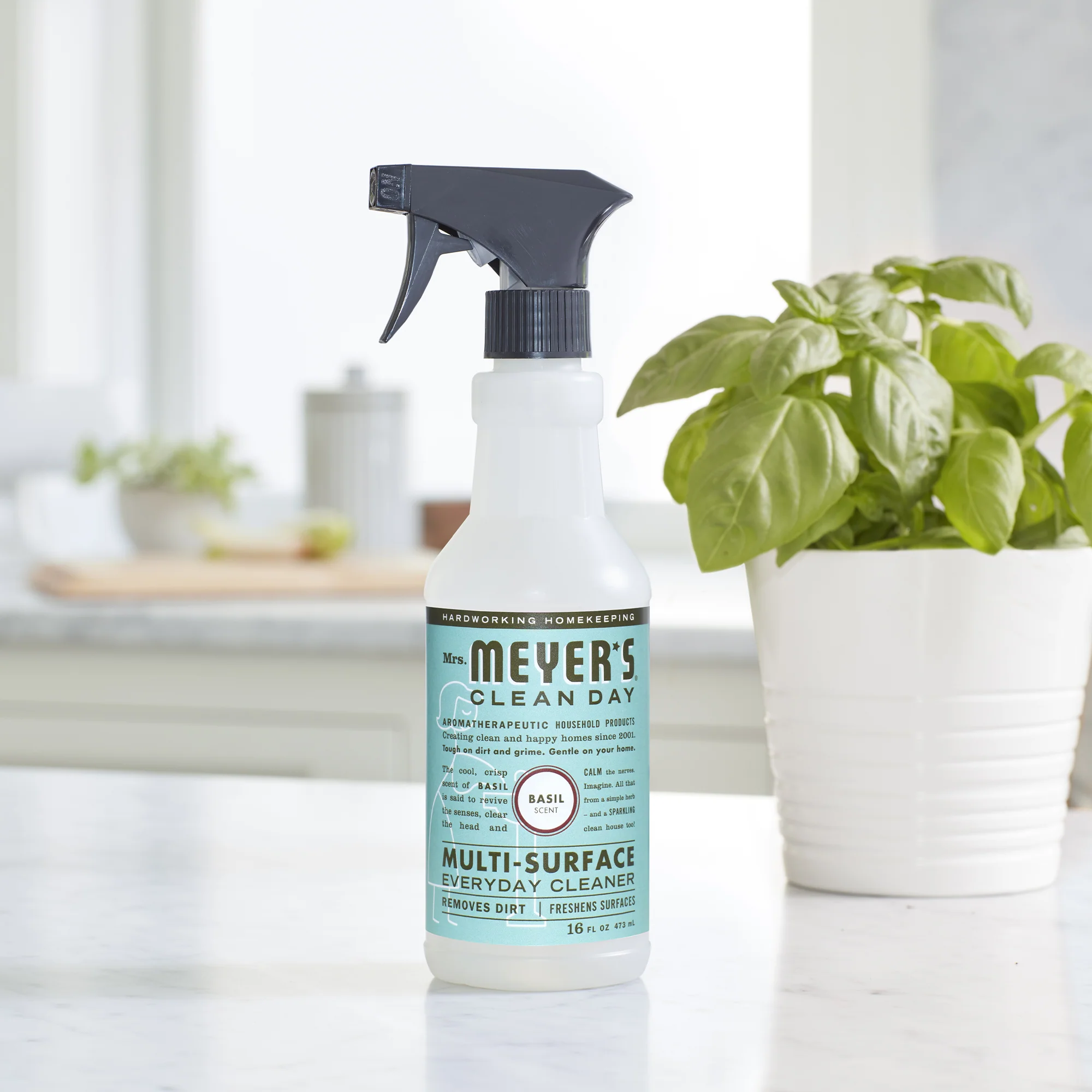 Multi-Surface Cleaner - Image 45
