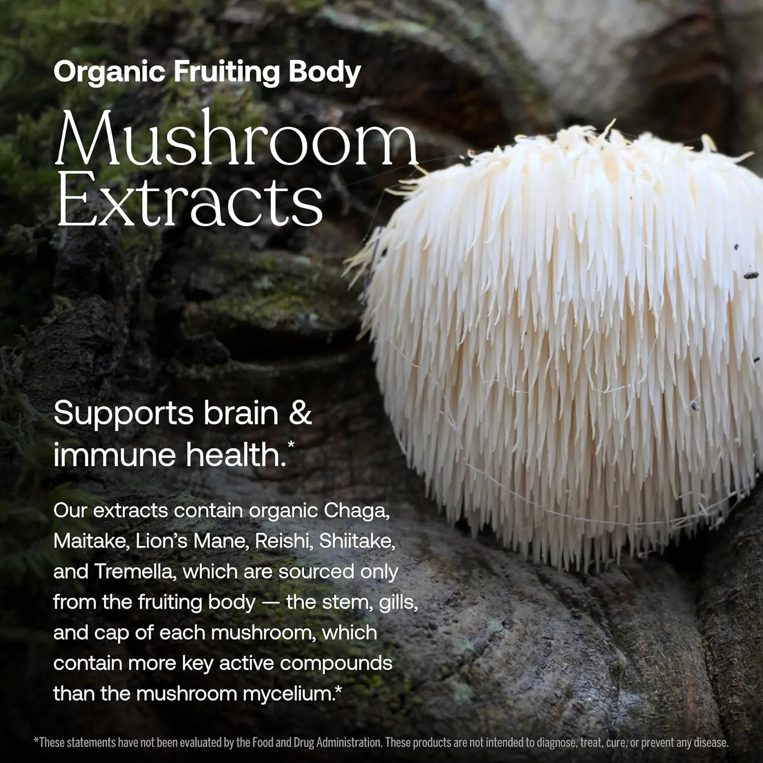 One Daily Women's 40+ Multivitamin - Image 7