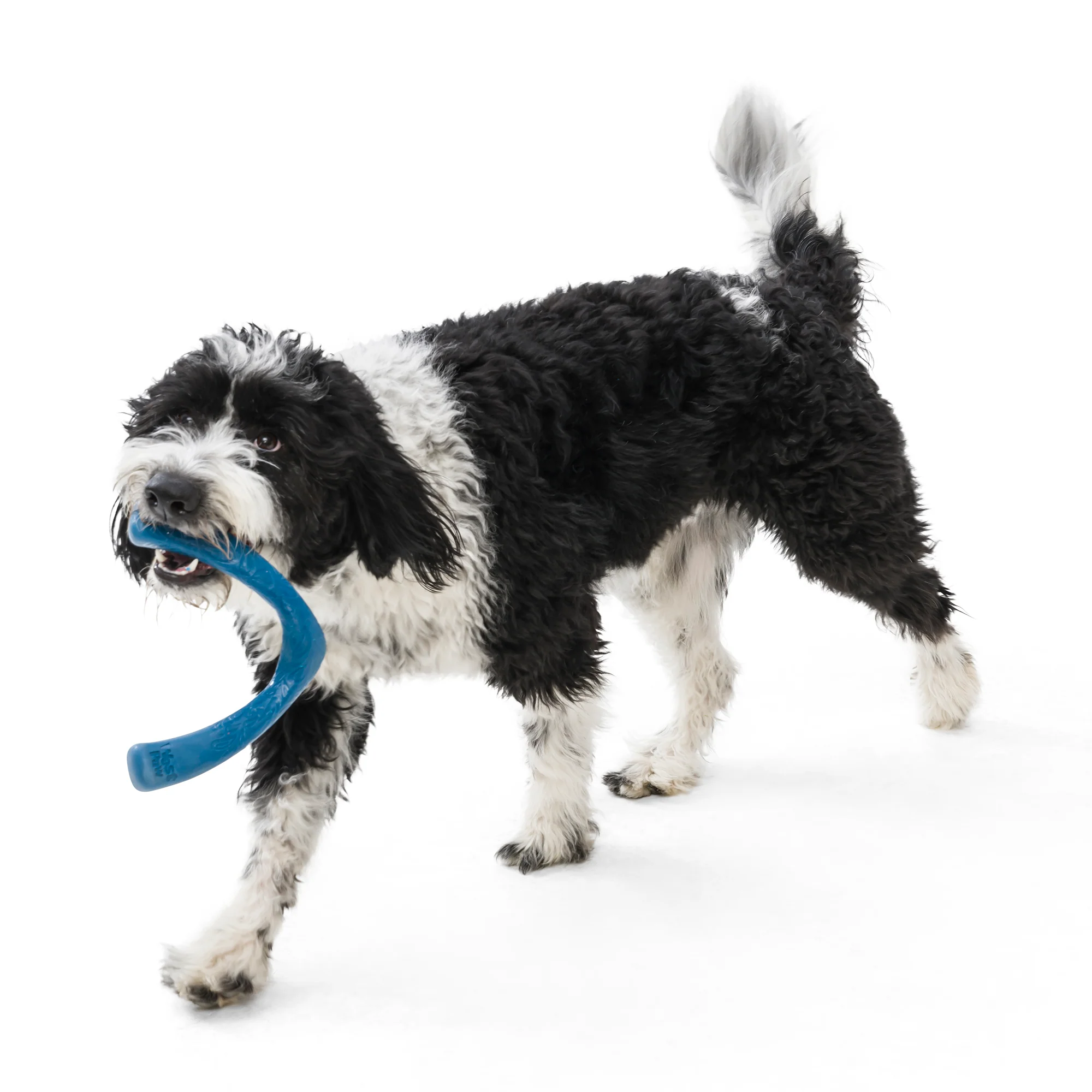 Snorkl® Interactive Tug and Fetch Dog Toy made from Ocean-Bound Recycled Plastic - Image 2
