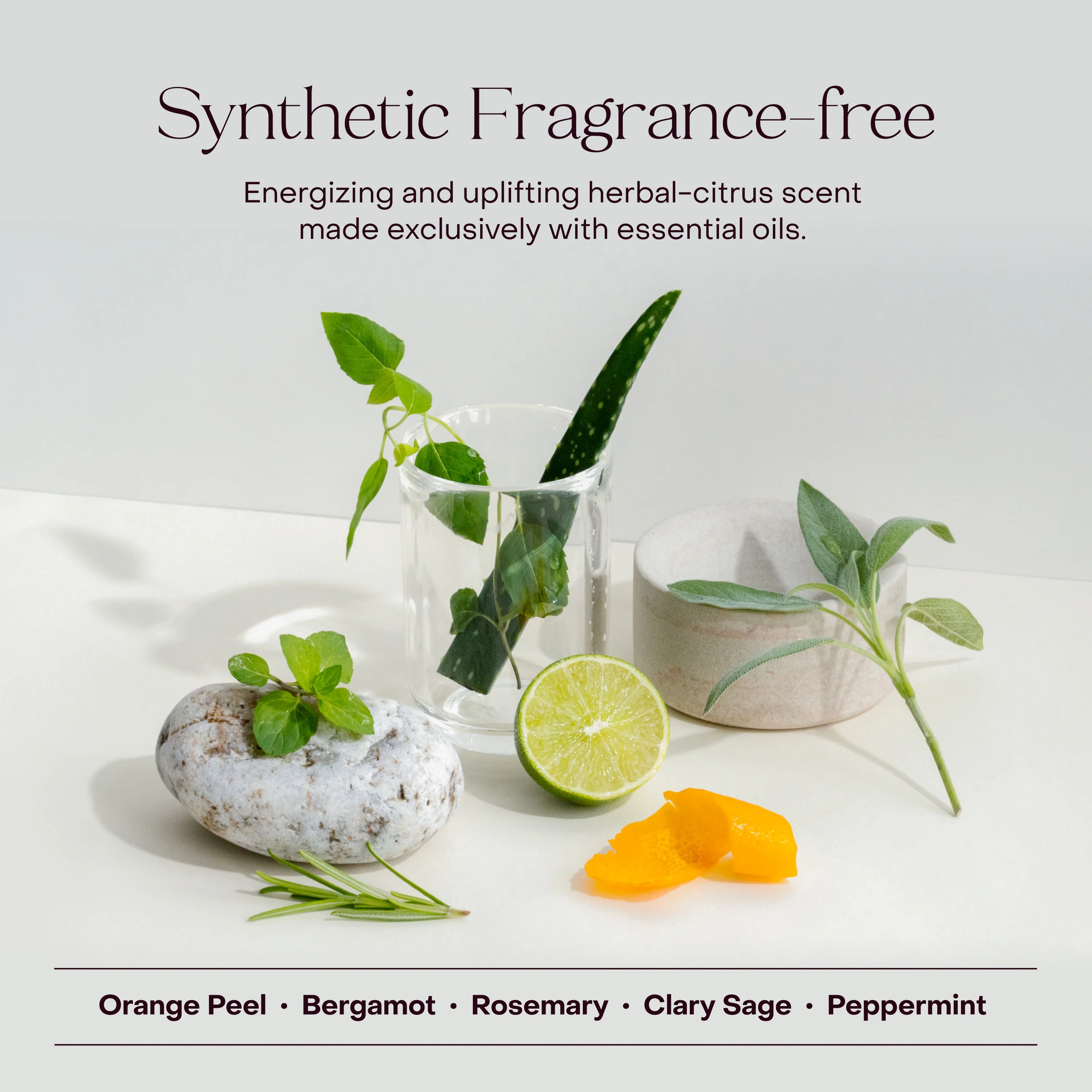 The Shampoo Concentrate - Image 8