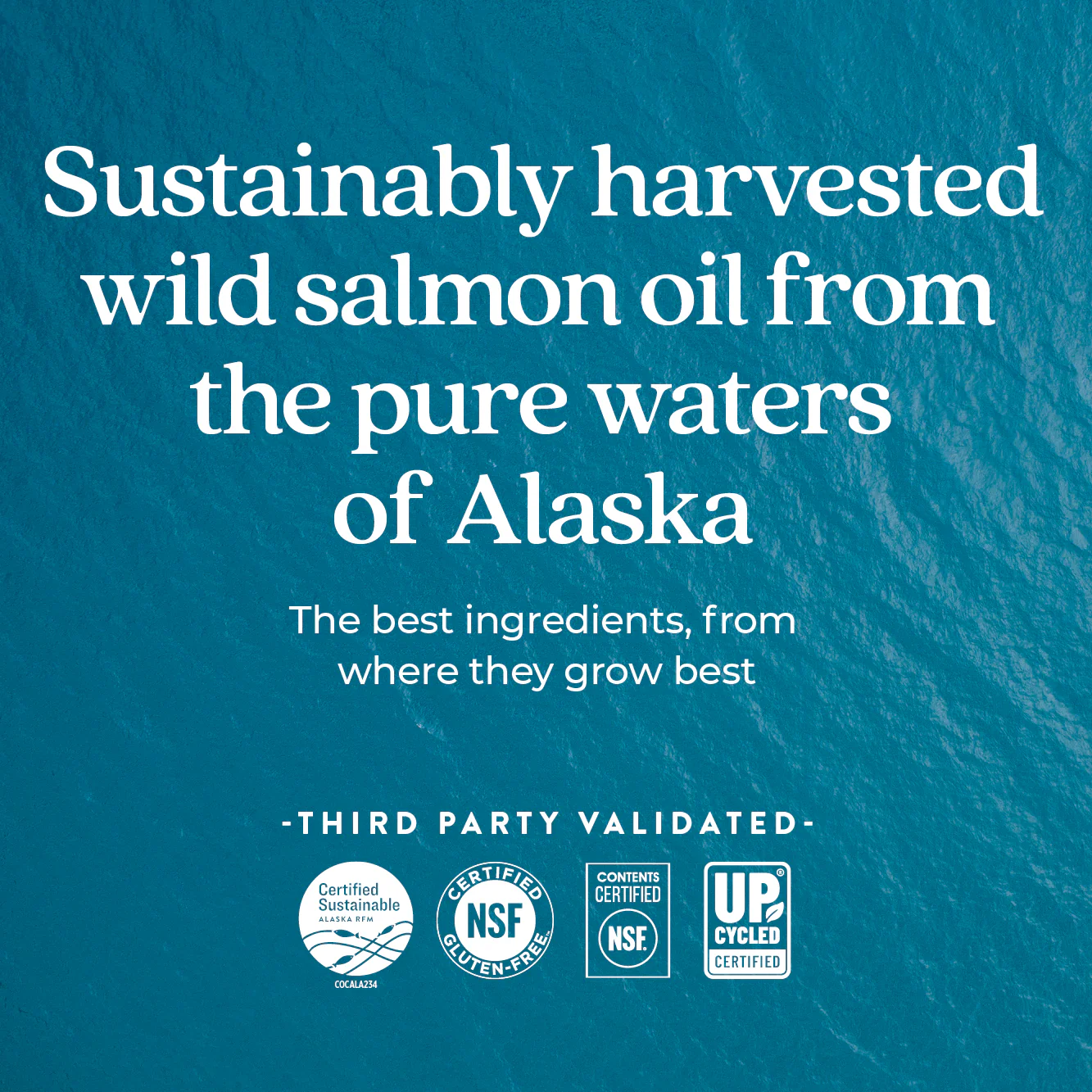 Wholemega™  Fish Oil - Image 9