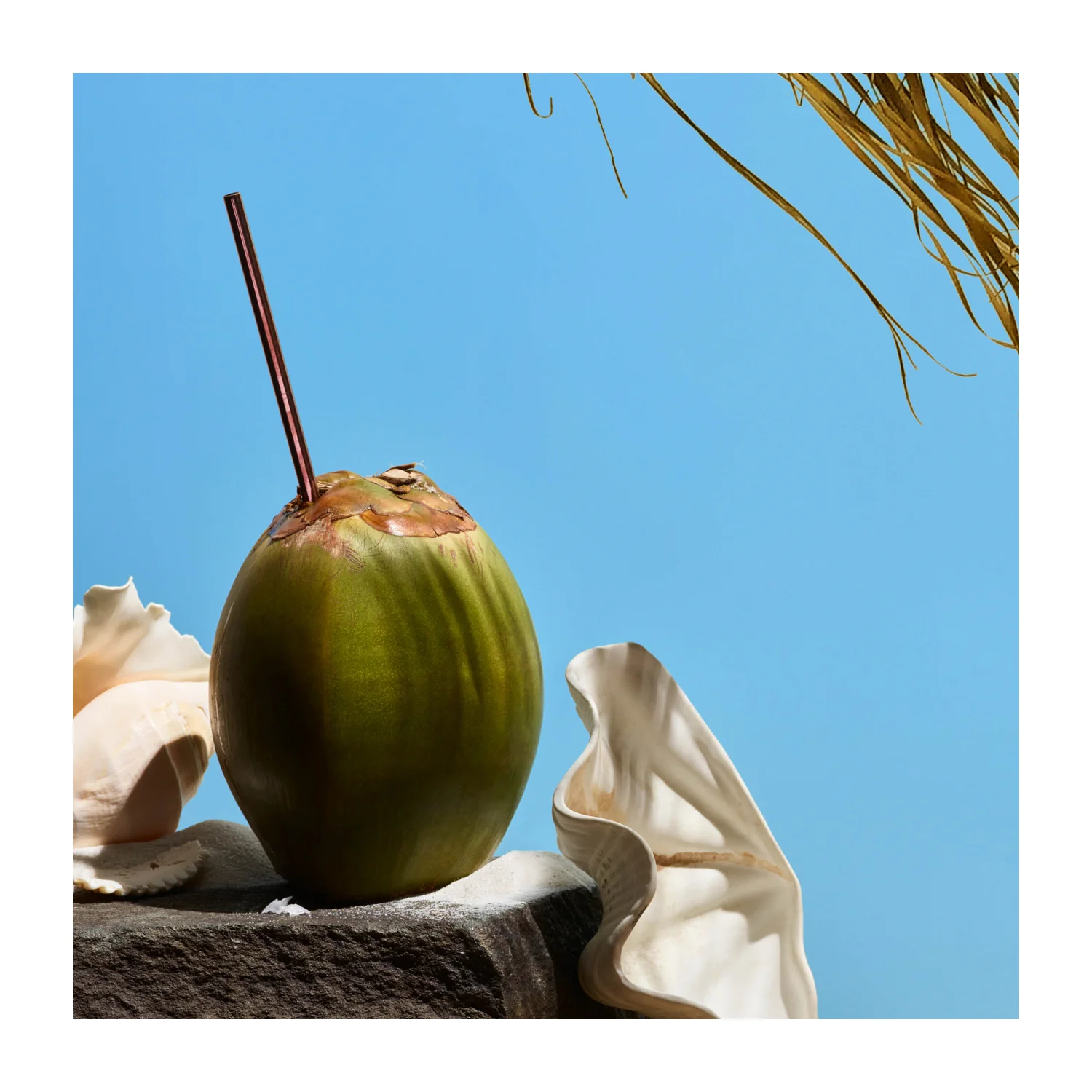 Wood Car Air Freshener Refill - Image 6